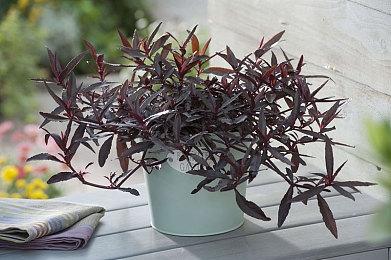 复古像素风格射击游戏《野狗》4月20日发售